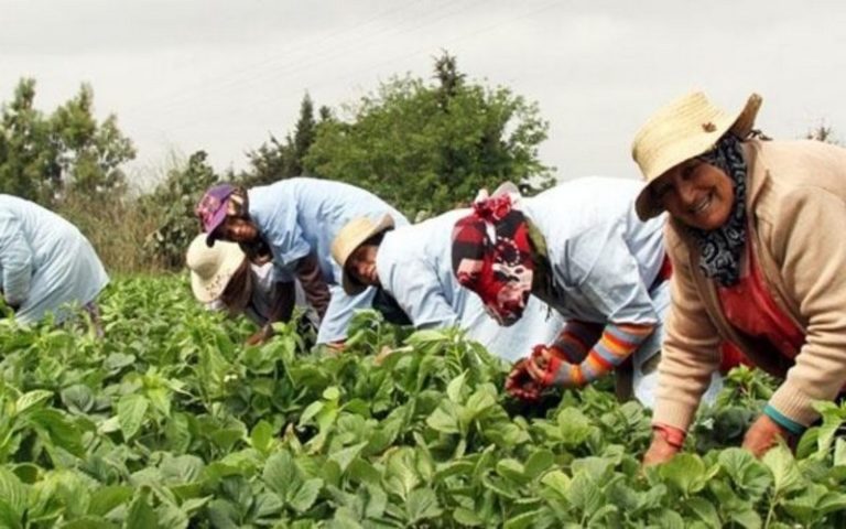 Journée internationale des femmes rurales : La Tunisie réitère sa volonté de soutenir et de défendre les droits des femmes en milieu rural