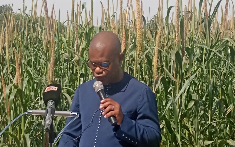 Sénégal : Les efforts de l’ISRA visent à améliorer la sécurité alimentaire et nutritionnelle des populations, selon Tall Seck