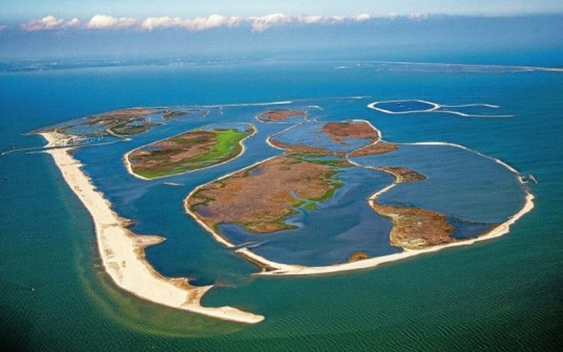 Pourquoi la COP15 biodiversité est cruciale pour l’avenir de la planète