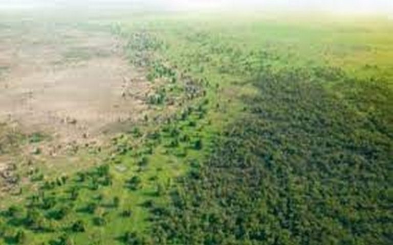 Sénégal : l’ASRGMV compte mettre en en place des Contrats plans territoriaux