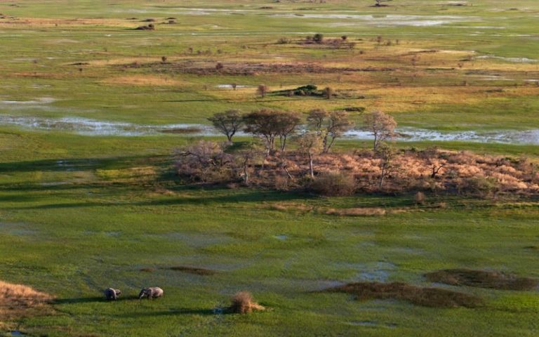 Voici ce qu’attend l’Afrique de la COP26