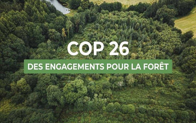 À la COP26, des engagements pris en faveur des forêts