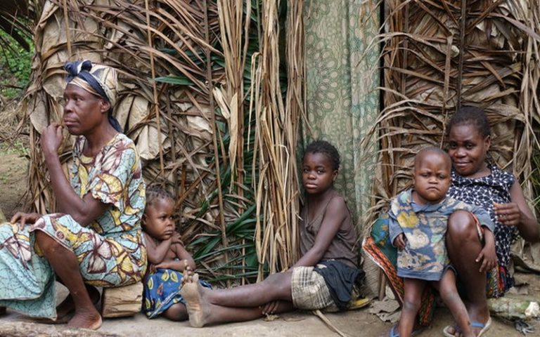 COP26 : « Nous ne résoudrons pas la crise climatique sans la nature »