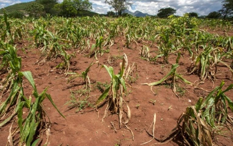 COP26 : pourquoi il faut aider les agriculteurs africains à s’adapter au changement climatique