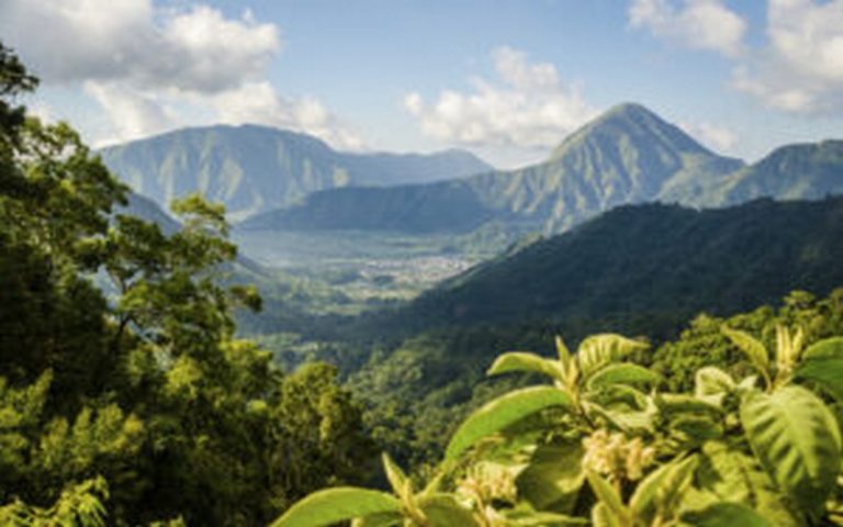 Déforestation : Un nouveau rapport du FCPF met en exergue les moyens concrets des communautés mondiales pour atténuer le changement climatique
