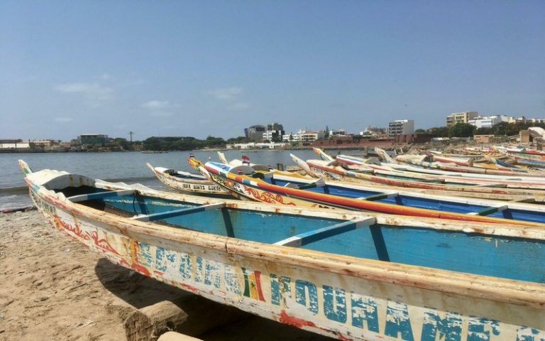 Greenpeace Afrique invite le Sénégal à mener une enquête sur ses origines de la maladie mystérieuse des pêcheurs