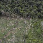 La commission de l&rsquo;Union européenne en croisade contre la déforestation importée