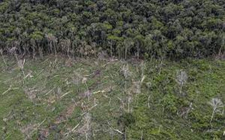 La commission de l&rsquo;Union européenne en croisade contre la déforestation importée