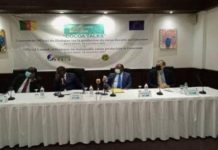 Le Cameroun plaide pour une amélioration de la rémunération des producteurs de cacao