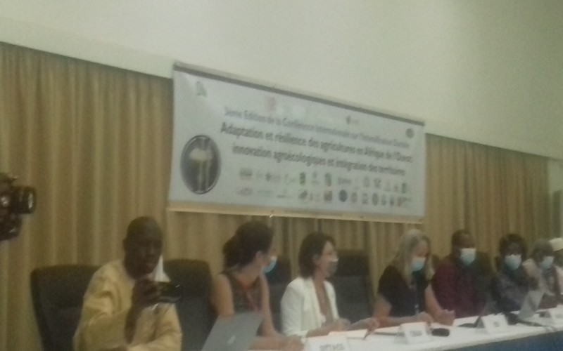 Le Sénégal va désormais réorienter 10 % des intrants agricoles dans les engrais bio organiques