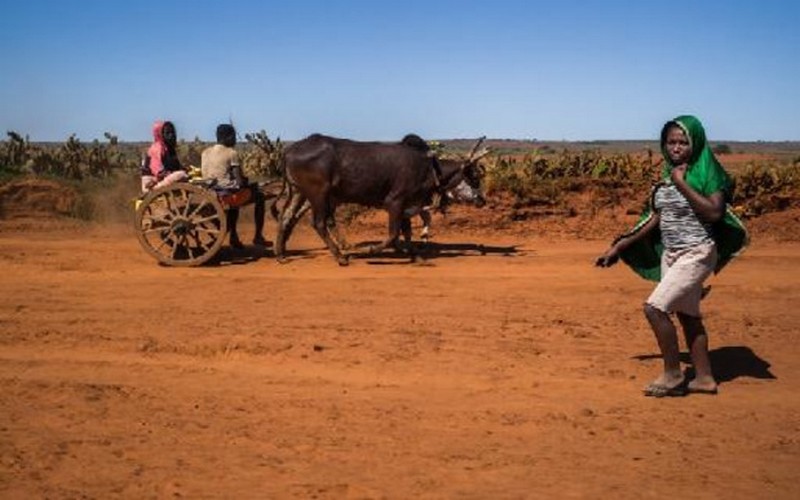 Madagascar à la quête davantage de fonds pour lutter contre la famine