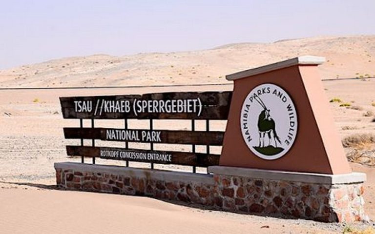Projet d&rsquo;hydrogène vert : La Namibie porte son dévolu sur Hyphen Hydrogen Energy