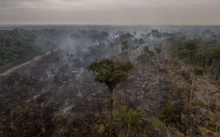 Une estimation officielle fait état d’une hausse de 22 % de la déforestation en Amazonie en un an