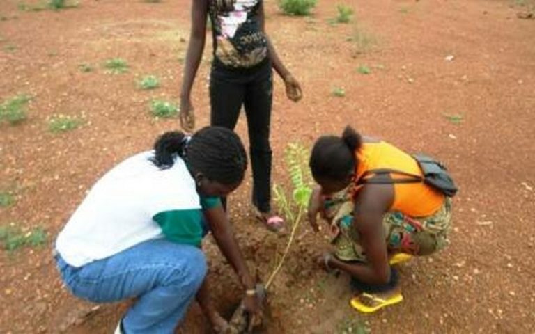 Atténuation de l’empreinte carbone : Vodacom Congo plante 500 arbres dans 5 établissements scolaires