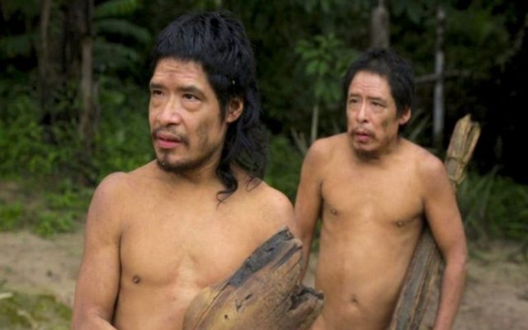 Déforestation amazonienne : La tribu indigène d’Amazonie confrontée à une « extinction imminente »