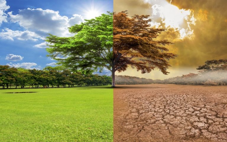 Les entreprises du domaine du climat du Bénin, du Niger et du Cameroun formées par la GIZ