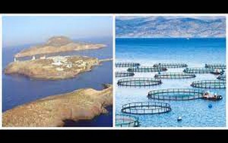 Vers la construction d’une dizaine de fermes piscicoles au large des îles Canaries (Maroc)