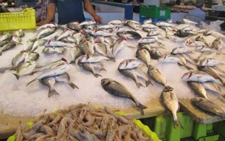 La pêche anarchique fait perdre à la Tunisie plus de 50 % de sa richesse halieutique, selon l’UTAP