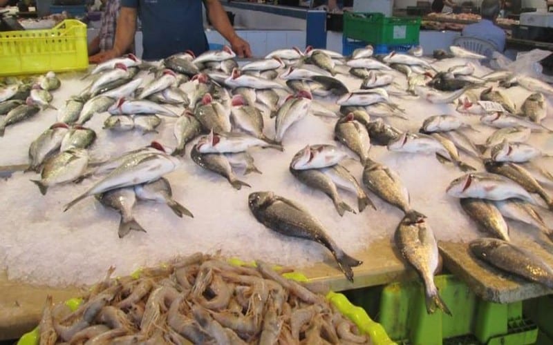 La pêche anarchique fait perdre à la Tunisie plus de 50 % de sa richesse halieutique, selon l’UTAP