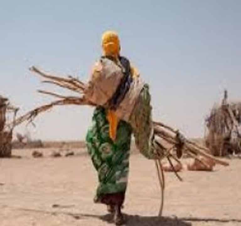 La sécheresse pourrait entraîner le déplacement de plus d’un million de personnes d’ici au mois d&rsquo;avril 2022 en Somalie
