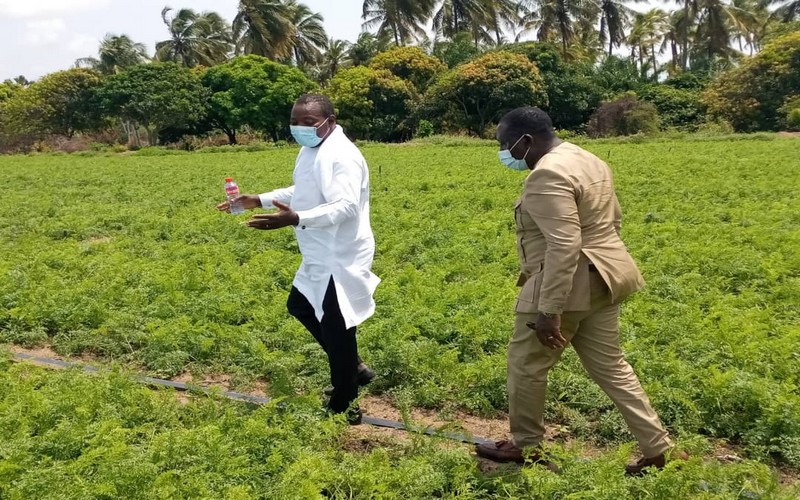 L’agriculture, secteur prépondérant de l’économie du Bénin, emploie plus de la moitié de la population du pays