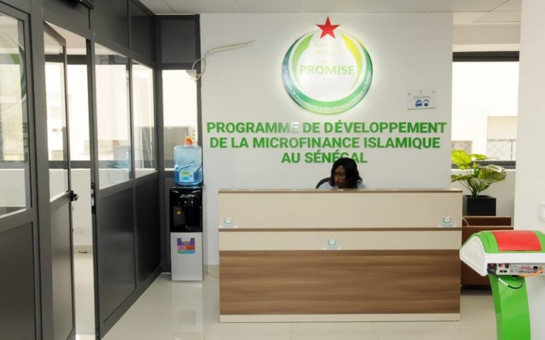 Le POMISE finance les groupements féminins de Diourbel (Sénégal) pour la mise en œuvre du projet « Une femme, un arbre »