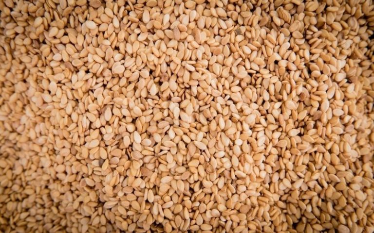 L’envol du marché mondial du sésame