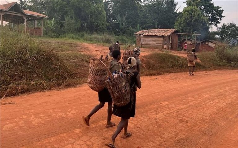 Les Pygmées expulsés de force des forêts au Cameroun