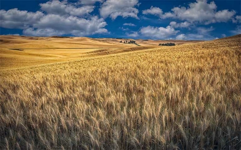 Préservation de l’Environnement : La « stratégie régionale climat » adoptée par CEDEAO