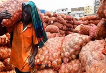 Agrobusiness : produire plus en Afrique… pour importer mieux ?