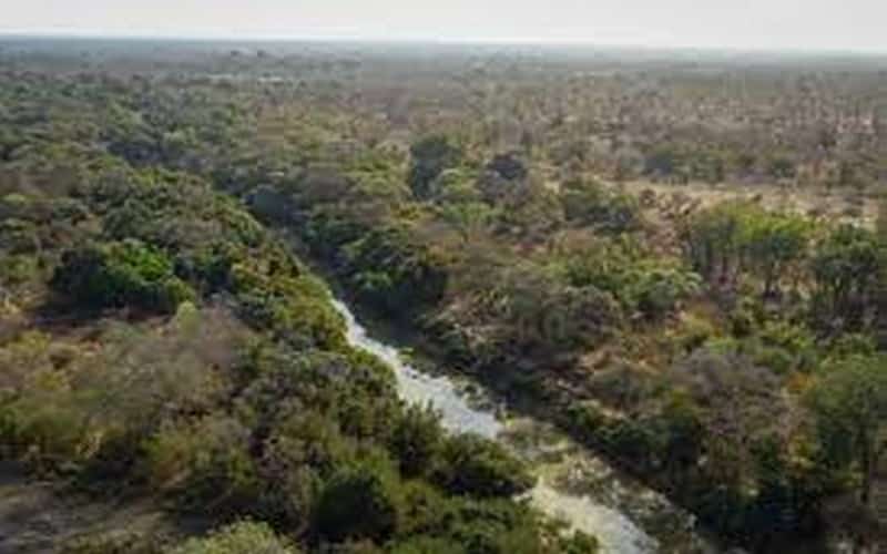 Cinq gardes forestiers et un soldat tués dans une embuscade dans le nord du Bénin