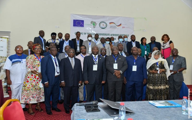 Conservation Biodiversité – COMIFAC : 33ème réunion du Groupe de travail biodiversité d’Afrique Centrale