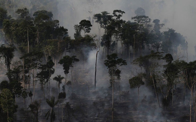 Des défoliants chimiques déversés sur l’Amazonie pour accélérer la déforestation