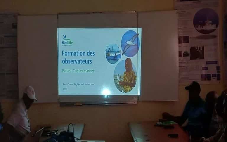 Guinée : Les observateurs du CNSHB formés sur la protection des oiseaux et tortues marines               
