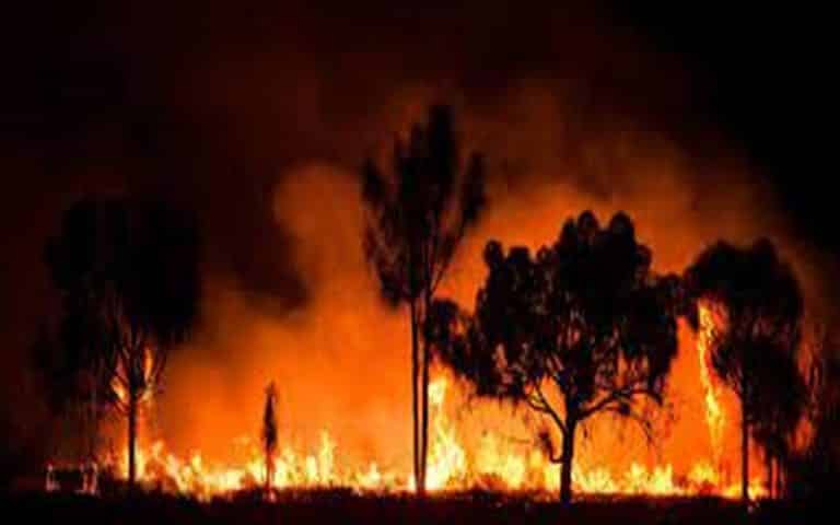 La planète ne pourra plus supporter les incendies géants, selon un rapport de l’ONU