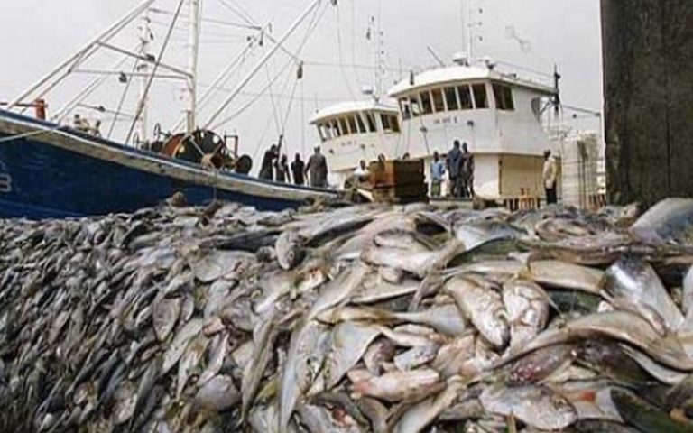 Journée de l’océan : La surpêche vide les fonds marins au Sénégal