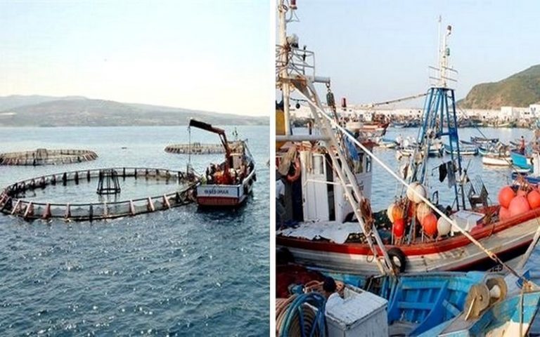 Le gouvernent algérien examine l’avant-projet de loi sur la pêche et l’aquaculture