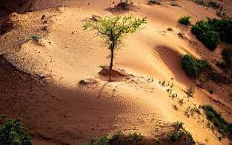 Les engagements climatiques pour l’Afrique du 6ème sommet UA-UE dévoilés