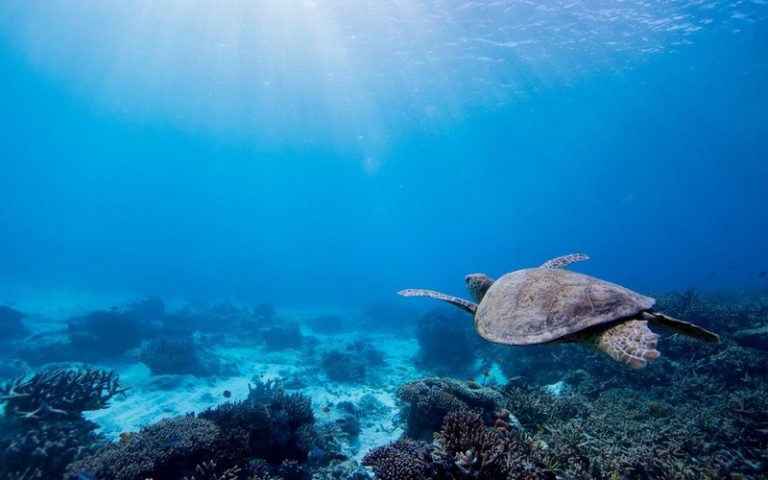Les participants du Sommet mondial de l’océan planchent sur l’avenir des océans