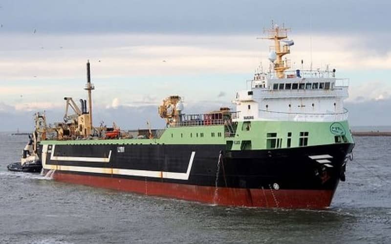 Plus de 100 000 poissons morts dans le golfe de Gascogne, le gouvernement demande l’ouverture d’une enquête