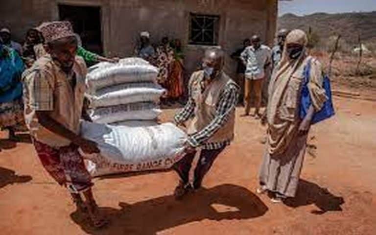Sécheresse dans la corne de l’Afrique : la FAO se félicite d’une contribution de 20 millions d’euros de l’Allemagne destinée à éviter une crise alimentaire