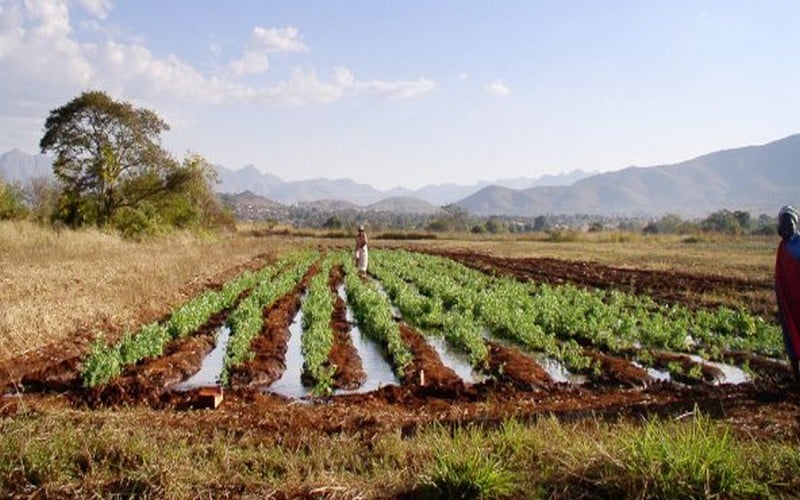 Sommet UA – UE : une autre agriculture est possible