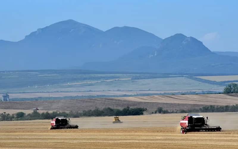 Comment le conflit Russie-Ukraine pourrait influer sur l’approvisionnement alimentaire de l’Afrique