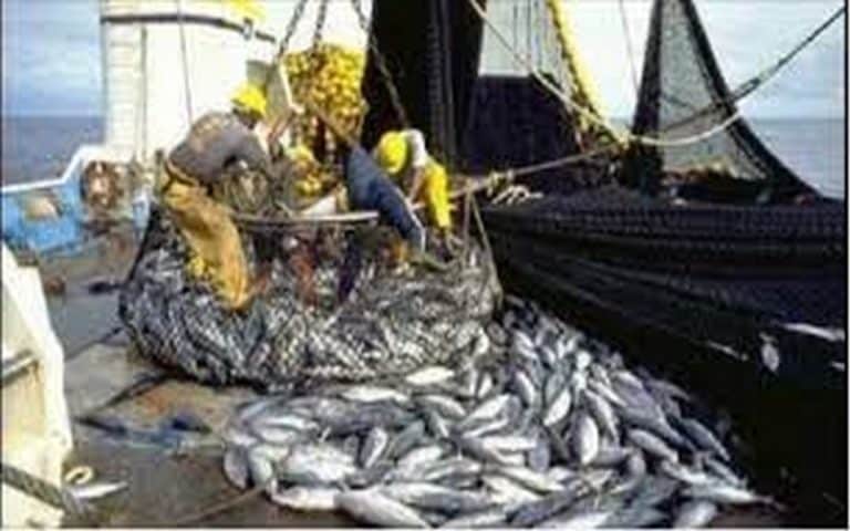 Sénégal : La CAOPA plaide pour la finalisation du statut du surveillant-pêcheur