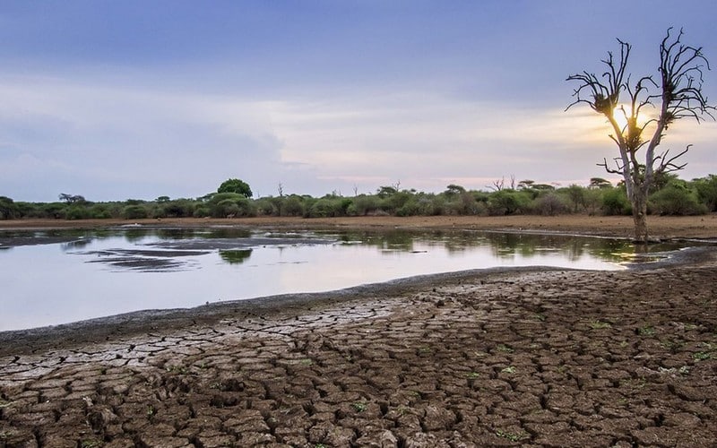 Des décisions radicales attendues au Forum mondial de l’eau de Dakar pour faire face à la sécheresse en Afrique