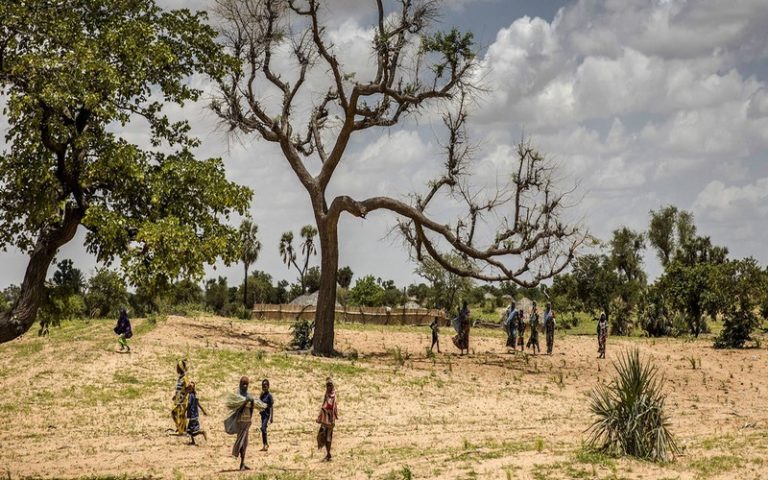 Financement climatique : Le GIEC dénonce la répartition inégale des fonds en Afrique