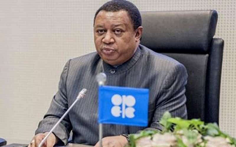 L’OPEP met en garde contre les menaces de la transition énergétique pour les réserves pétrolières africaines