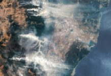 La fumée des grands feux de forêt semble affecter la couche d’ozone