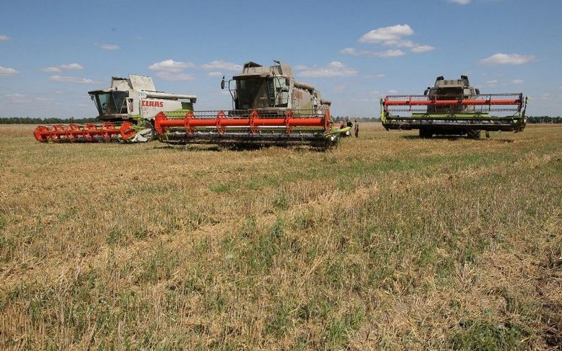 La guerre en Ukraine pourrait engendrer des famines en Afrique et en Asie, craint Dov Zerah