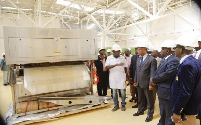 Les usines de transformation de la noix de cajou en Côte d’Ivoire fermées